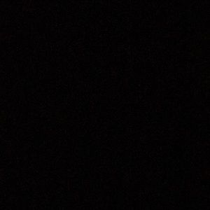 Meet your Posher, Sammi